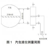 高精度投入式液位變送器在帶壓容器中應用案例分析